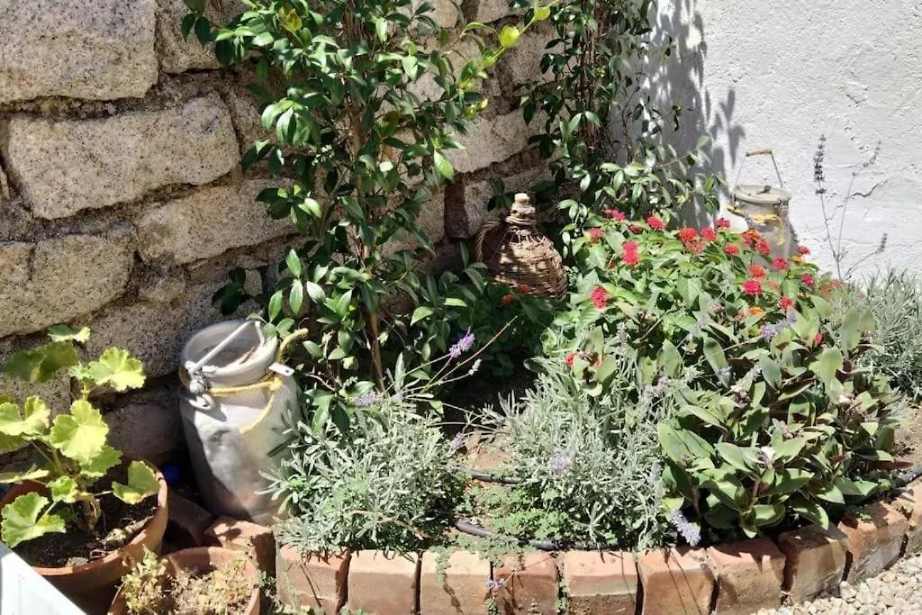 Holiday home Casa Indipendente Villa Arzachena